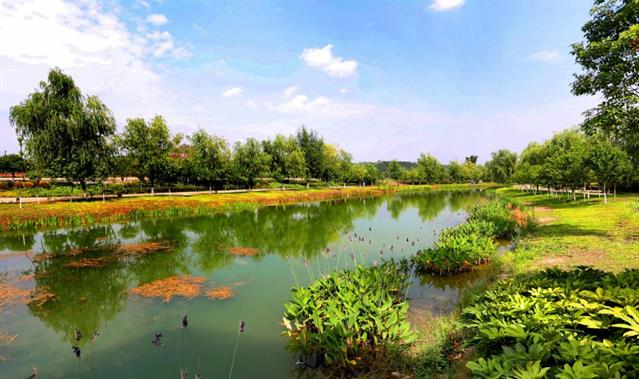 小枧生态湿地公园